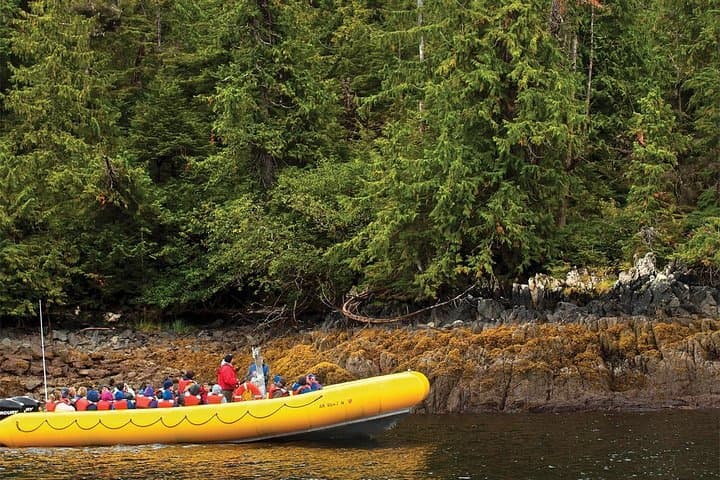 Exploring Ketchikan’s Rainforest Island: A Coastal Adventure Through Tongass National Forest photo 3