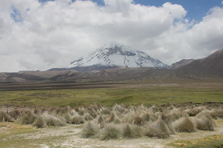 Sajama National Park 3-Day: High-Altitude Trek, Geysers & Pumiri Stone City