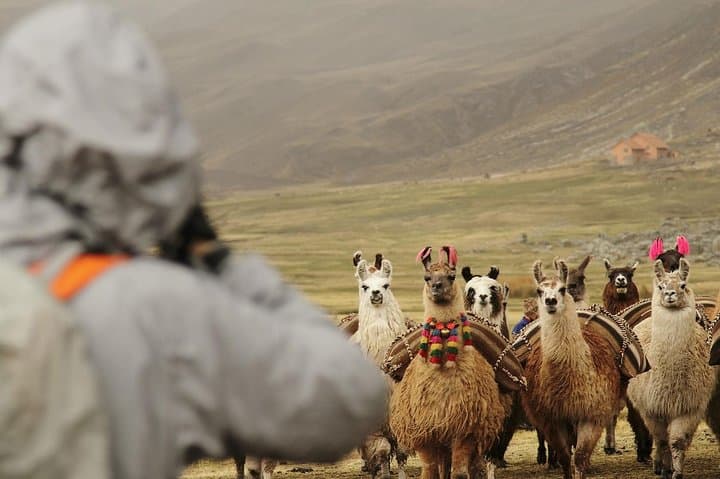 4-Day Cusco to Machu Picchu and Rainbow Mountain: Sacred Valley Tour photo 6