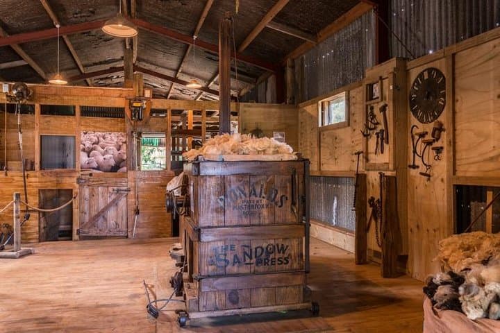 Hands-On Kiwi Farm Experience at Bullswool Heritage Farm — Coromandel Family Pass photo 2