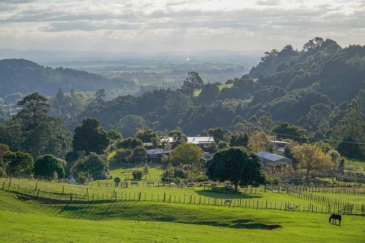 Hands-On Kiwi Farm Experience at Bullswool Heritage Farm — Coromandel Family Pass photo 3