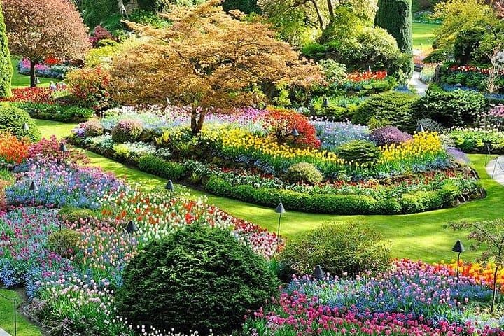 Three-Day Vancouver, Victoria & Whistler Combo: Sea-to-Sky, Butchart Gardens & Capilano
