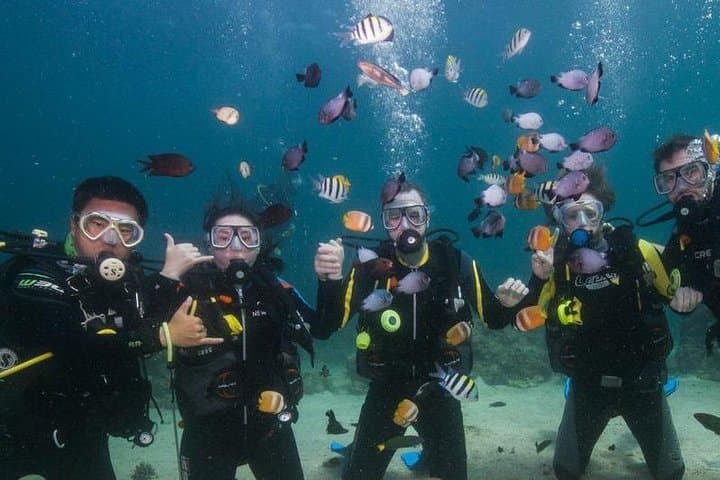 Scuba Diving in Boracay: Reef Dives, Marine Life & Certified Diver Guide