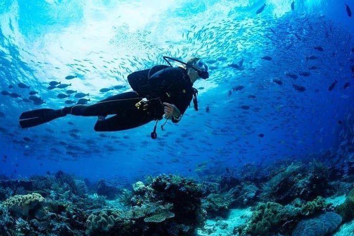 Scuba Diving in Boracay: Reef Dives, Marine Life & Certified Diver Guide photo 4