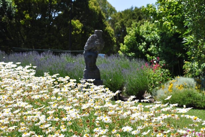 Puffing Billy & Mount Dandenong Private Tour: Steam Train, Gardens, and Mountain Views photo 3