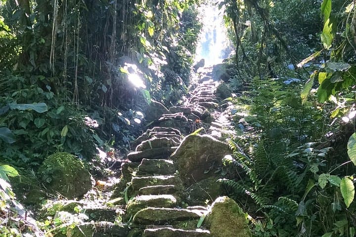 Lost City Trek: 4-Day Ciudad Perdida Jungle Trek from Santa Marta photo 3