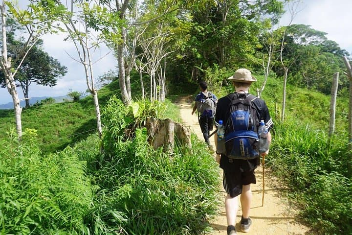 Lost City Trek: 4-Day Ciudad Perdida Jungle Trek from Santa Marta photo 5