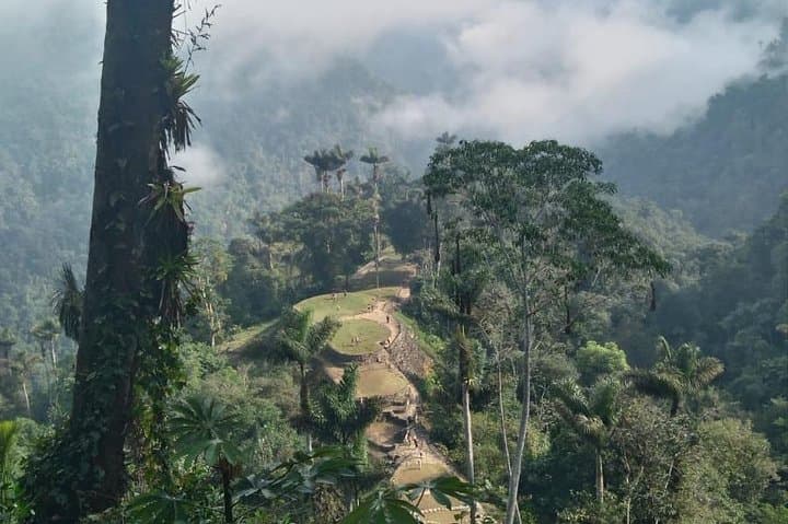 Lost City Trek: 4-Day Ciudad Perdida Jungle Trek from Santa Marta photo 4