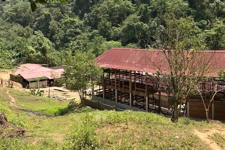Lost City Trek: 4-Day Ciudad Perdida Jungle Trek from Santa Marta photo 6