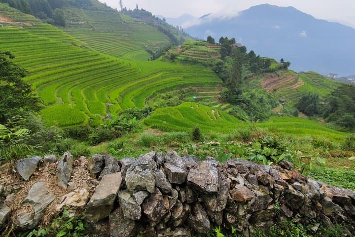 Guilin Longji Rice Terraces and Yangshuo Impression Liu Sanjie Day Tour — Long Hair Village & Ping'an photo 4