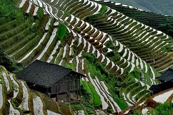 Guilin Longji Rice Terraces and Yangshuo Impression Liu Sanjie Day Tour — Long Hair Village & Ping'an photo 2