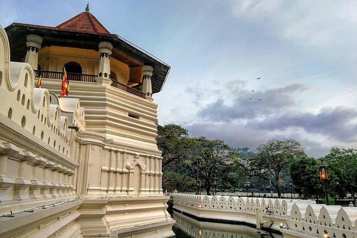 Kandy Sightseeing Day Tour from Colombo — Temple, Tea Factory & Peradeniya Gardens photo 2