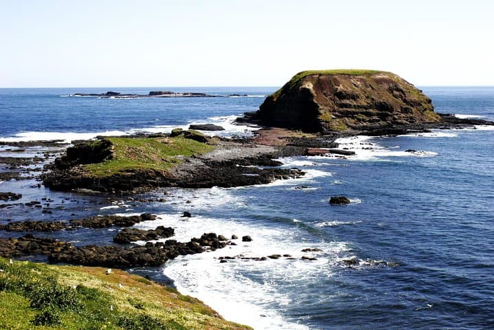 Private Phillip Island Penguin Parade Tour — Up‑Close Little Penguin Experience photo 4
