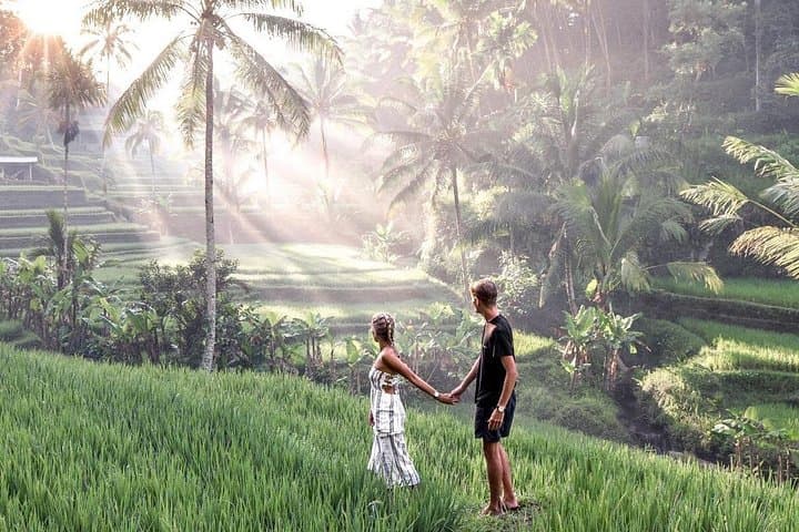 One-Day Private Ubud Tour: Art Villages, Tegenungan Waterfall & Bali Swing photo 2