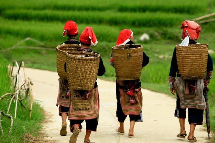 Ta Phin Red Dao Village Trek & Traditional Herbal Bath in Sapa photo 6
