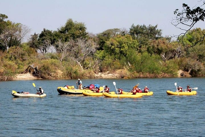 Paddling the Upper Zambezi: Victoria Falls Canoe Safari Above the Falls photo 1