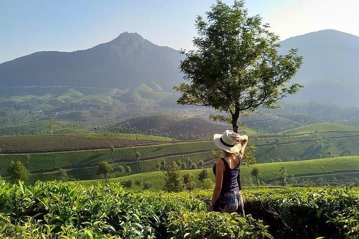 Kerala Honeymoon Special: Private Houseboat, Munnar, Thekkady & Alleppey photo 4