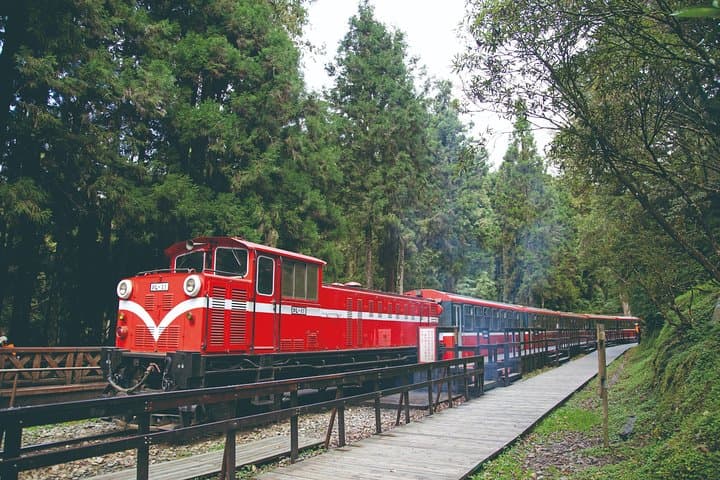 Private 3-Day Tour: Sun Moon Lake & Alishan Forest Railway Highlights