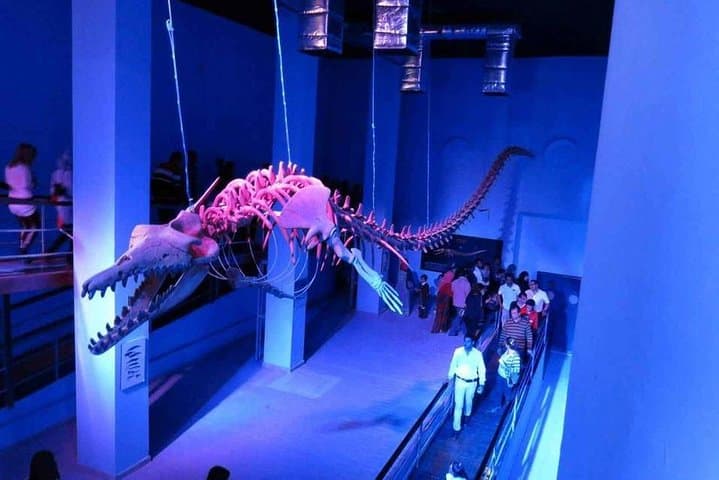 Hurghada Grand Aquarium: Skip-the-Line Entry & Guided Tour
