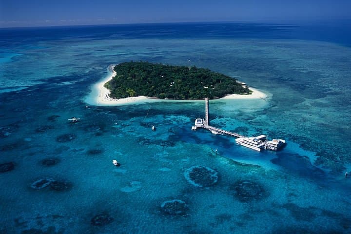 Seawalker Helmet Dive & Green Island Eco Adventure from Cairns photo 6