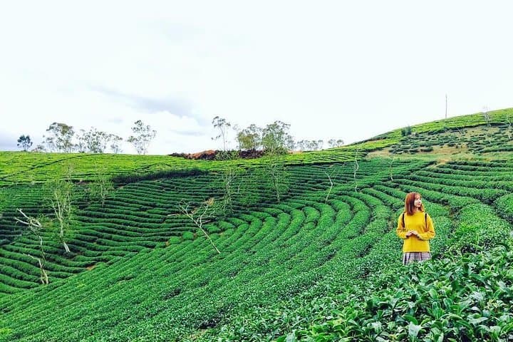 3-Day Dalat Flower & Waterfall Escape: Private Tour from Saigon