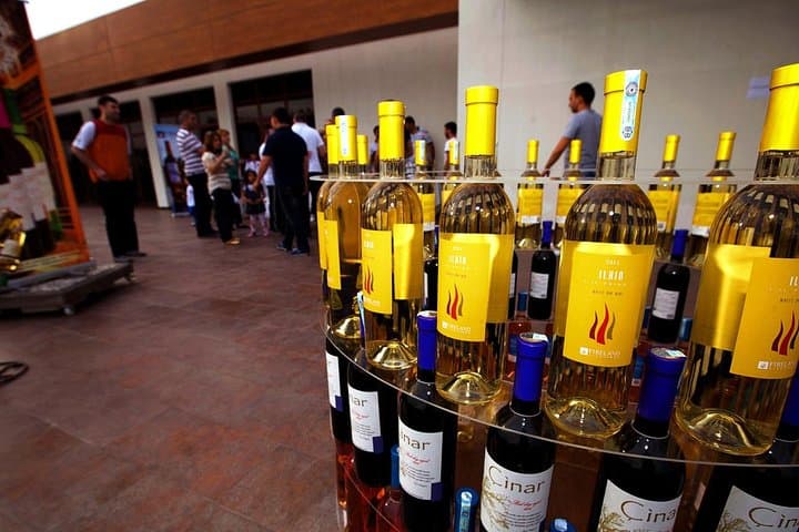 Fireland Winery Tour: Wine Degustation & Snacks Near Baku photo 2