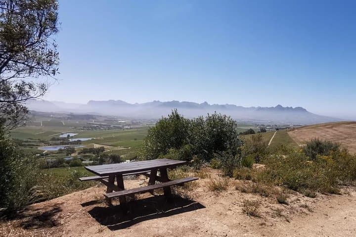 Cape Town Winelands E-Bike Half-Day Tour: Ride, Views & Wine Tasting photo 5