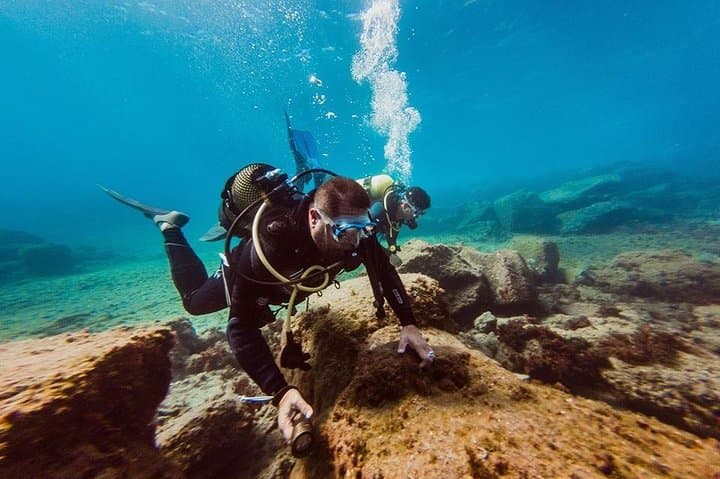 First Scuba Dive in Tenerife: Try Dive & Seabed Clean from Puerto Colón photo 4