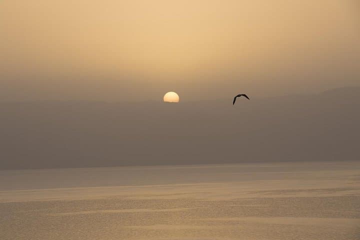 Private Day Trip from Tel Aviv to Nazareth, Capernaum & the Sea of Galilee photo 6