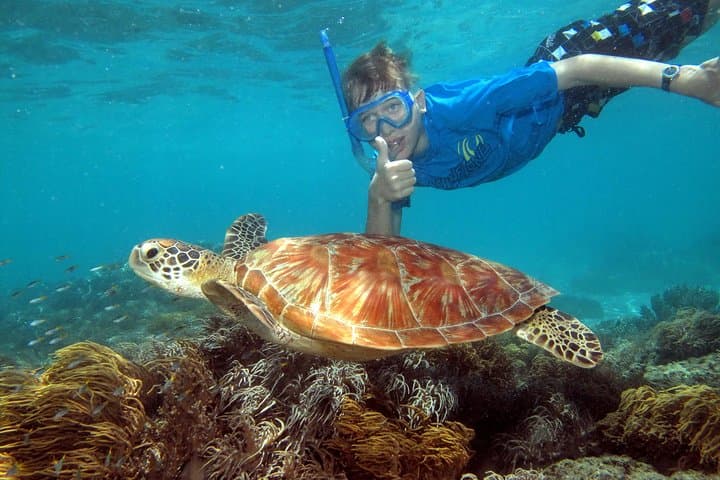 Sail to Michaelmas Cay: Great Barrier Reef Snorkel & Dive from Cairns photo 3