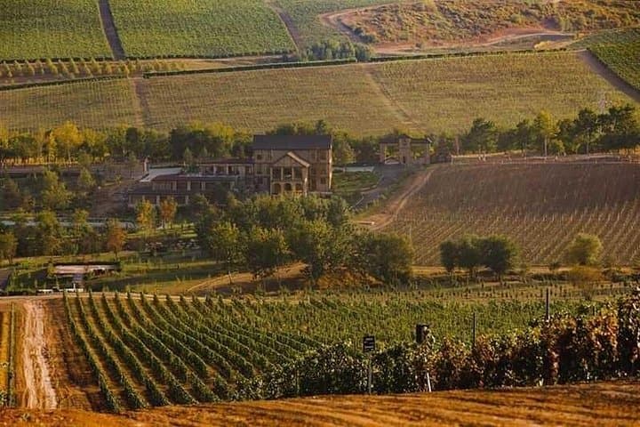 Gabala Aspi Winery Day Tour: Vineyard Walks, Tasting & Winemaking Insights from Baku photo 4