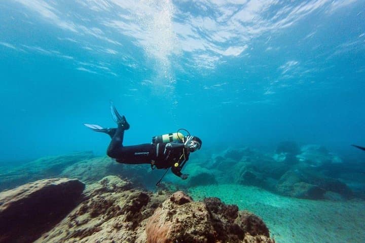 Immersion Certified Diver — Tenerife Coastal Dive from Puerto Colón