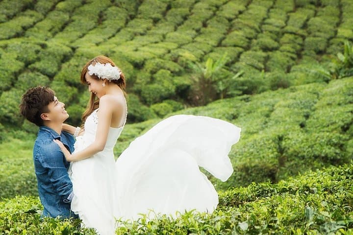 Kerala Honeymoon Special: Private Houseboat, Munnar, Thekkady & Alleppey photo 1