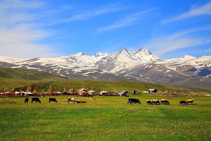 Mount Aragats, Amberd & Saghmosavank: Private Day Tour from Yerevan