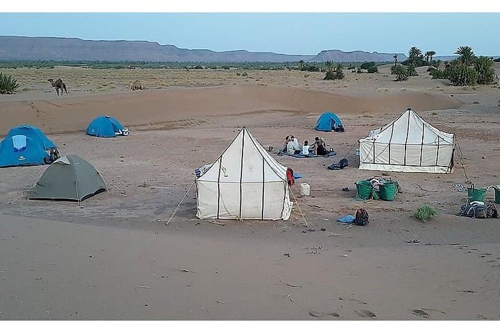 Sahara Camel Trek: 7-Day Desert Crossing from Marrakech to M'Hamid