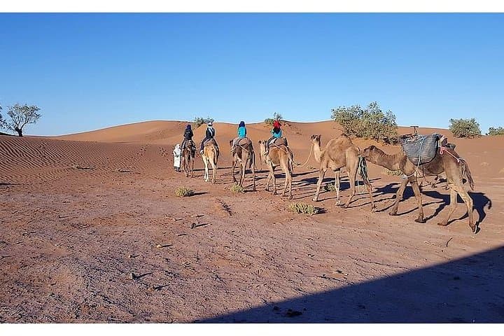 Sahara Camel Trek: 7-Day Desert Crossing from Marrakech to M'Hamid photo 6