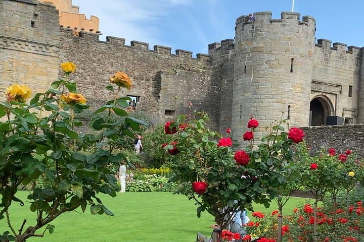 Stirling Castle and Scotland's Oldest Whisky Distillery — Private Portuguese Tour from Edinburgh photo 3