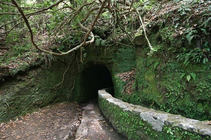 Queimadas to Caldeirão Verde: Full-Day Levada Walk in Madeira photo 3