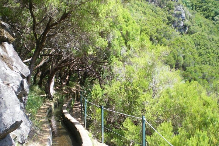 Queimadas to Caldeirão Verde: Full-Day Levada Walk in Madeira photo 4