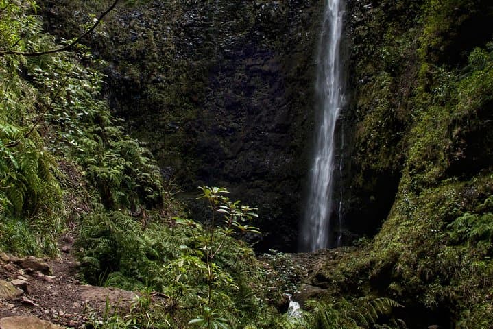 Queimadas to Caldeirão Verde: Full-Day Levada Walk in Madeira