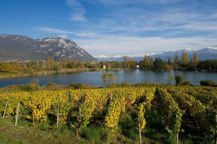 Combe de Savoie Wine Tour from Annecy: Chignin, Mondeuse & Alpine Tastings photo 4