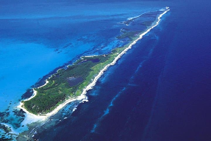 Isla Contoy & Isla Mujeres Day Trip from Cancun — Snorkel Ixlache Reef and Beach Time photo 3