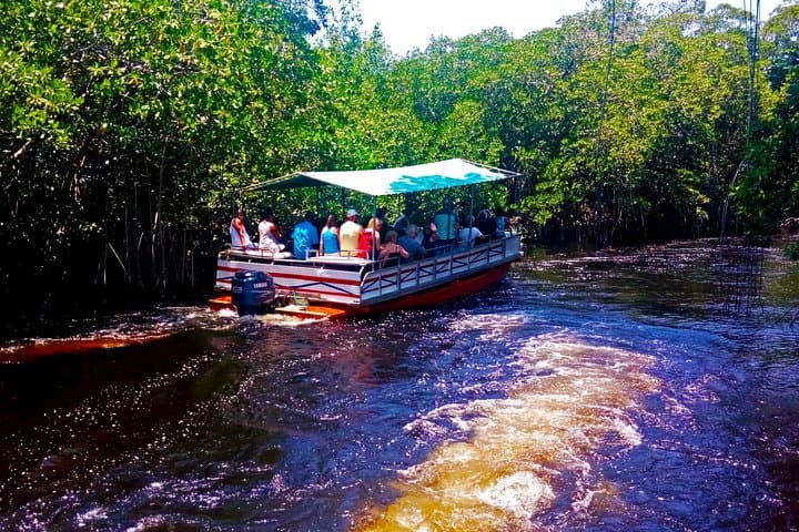 Black River Safari, YS Falls & Appleton Rum: South Coast Full-Day Tour from Montego Bay