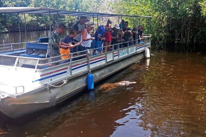 Black River Safari, YS Falls & Appleton Rum: South Coast Full-Day Tour from Montego Bay photo 2