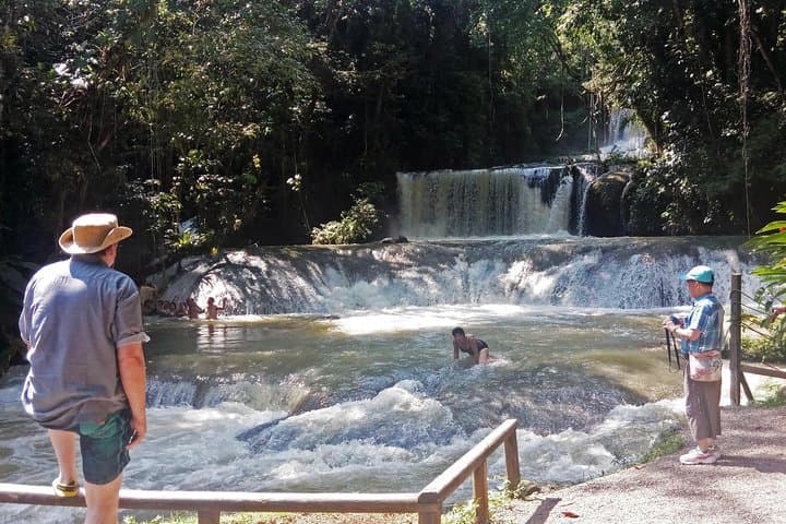Black River Safari, YS Falls & Appleton Rum: South Coast Full-Day Tour from Montego Bay photo 3