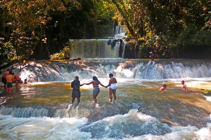 Black River Safari, YS Falls & Appleton Rum: South Coast Full-Day Tour from Montego Bay photo 4