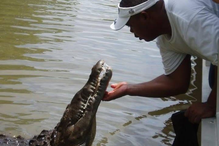 Black River Safari, YS Falls & Appleton Rum: South Coast Full-Day Tour from Montego Bay photo 5