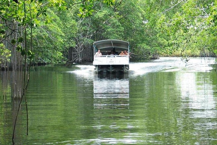 Black River Safari, YS Falls & Appleton Rum: South Coast Full-Day Tour from Montego Bay photo 6