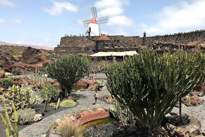 Grand Tour Lanzarote: Timanfaya, El Golfo & Jameos del Agua in One Day photo 2