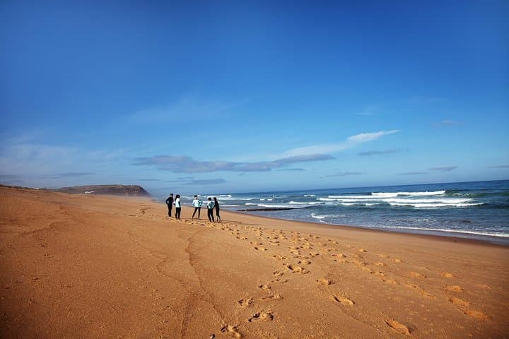 Learn to Surf at Praia Azul — 1-Day Lesson with Atlantic Coast Surf School
